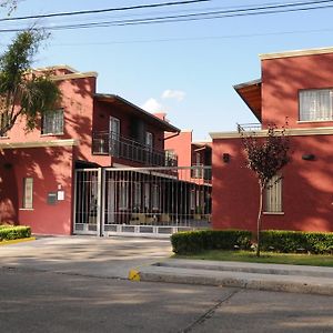Apartamento de 2 Dormitorios